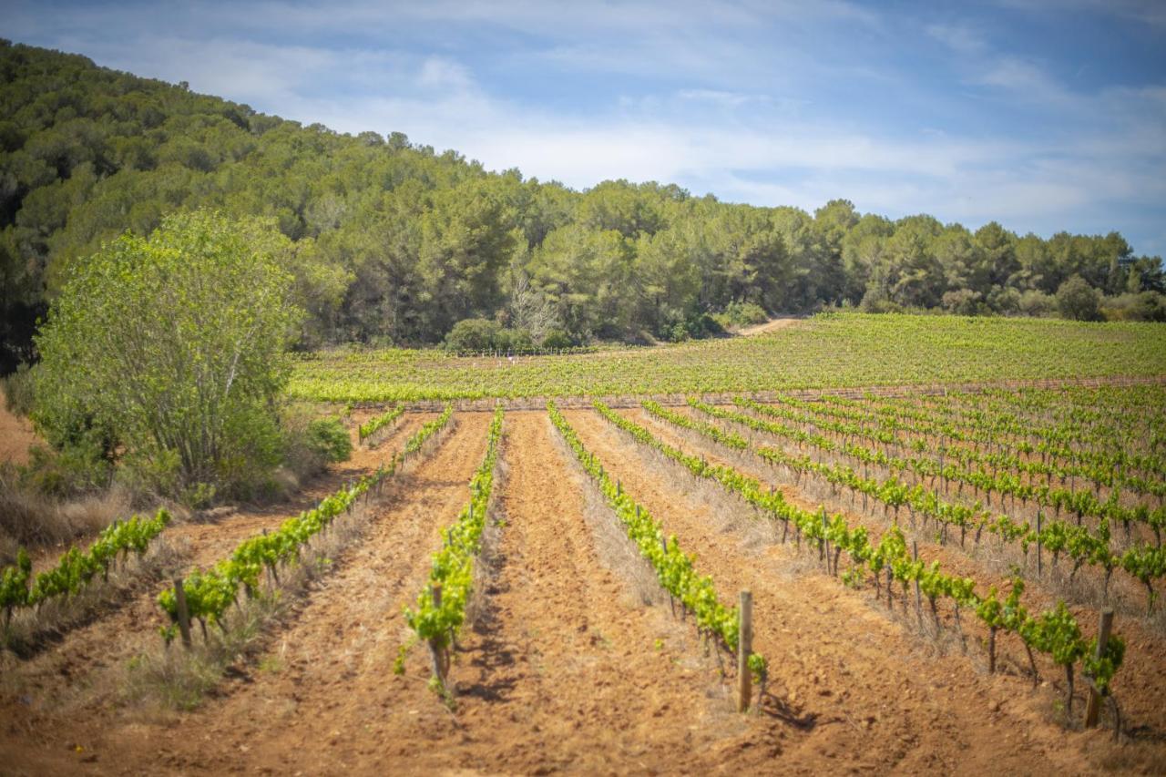 Catalunya Casas Tranquil Nature "Feel" , Yet Only 4 Min To Beach! Calafell Exterior photo